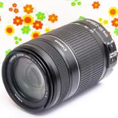 キャノン Canon EF-S 55-250mm IS Ⅱ⭐️手振れ補正付き♪ - メルカリ