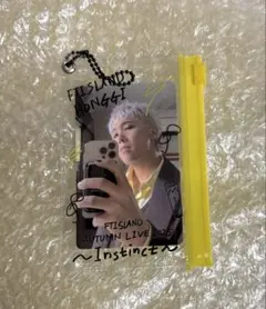 FTISLAND Instinctツアー トレカ付きカードポーチ ホンギ