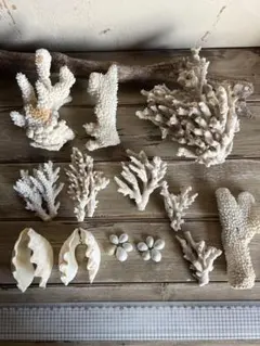 ☆★ 就寝早いです！様 リクエスト 2点 まとめ商品