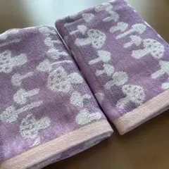 Item thumbnail for item 8e82bd28-28c7-4fa6-ab46-68c2f527ea1f