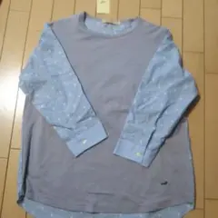 クロコダイルレディース