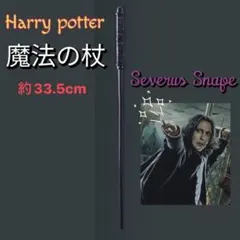 Item thumbnail for item 672f71f9-bb4c-4f6f-ac9f-af87d5f38290