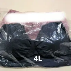 【正規品】ジニエ インテグレートブラ 4L 　1枚 ミスティネイビー