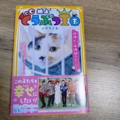 Item thumbnail for item 51d22f94-6781-4343-9ecc-9b9dadc48462