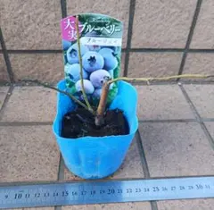 ma_hiro様 リクエスト 2点 まとめ商品