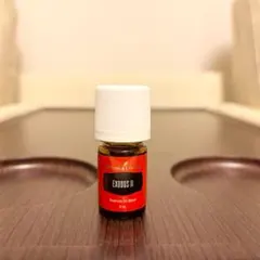 2025年最新】エクソダスIIの人気アイテム - メルカリ