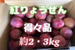 ♡山形県天童産♡すもも「紅りょうぜん」のサムネイル