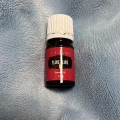 ヤングリビング アロマオイル エンビジョン 5ml ⭐️新品未使用