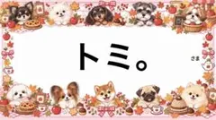 専用