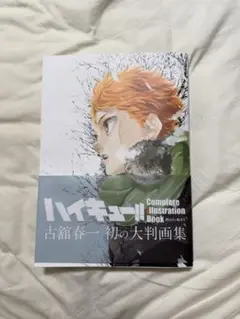 ハイキュー!!complete illumination book
