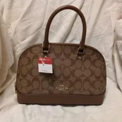 COACH シグネチャー レザー 2WAY ハンド/ショルダーバッグ 美品