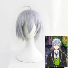2026年最新】ツイステ シルバー ウィッグの人気アイテム - メルカリ