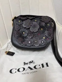 2026年最新】coach ティーローズの人気アイテム - メルカリ