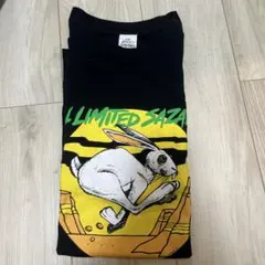 Item thumbnail for item 6ec3f827-502f-4897-bcce-eae7bbaaba69