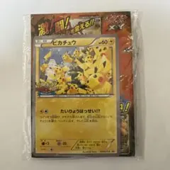 XY ピカチュウカード(068/XY-P [P] )＆ルーキーポケモントレッタ