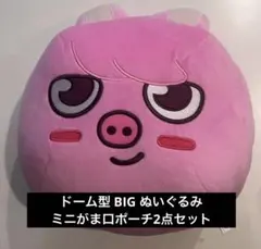 SKZOO GiGO 限定 ドーム型 BIG ぬいぐるみ トゥエッキ スキズ - メルカリ
