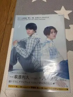 美しい彼 Official Visual Book