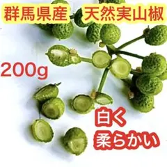 군마현 산초, 무농약, 부드러운 어린 녹색 산초, 천연 산초, 200g
