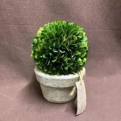 Item thumbnail for item 3548e9d3-4f64-42f6-a362-71c2a525dc5b