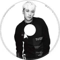 BIGBANG スンリ V.I レア - メルカリ
