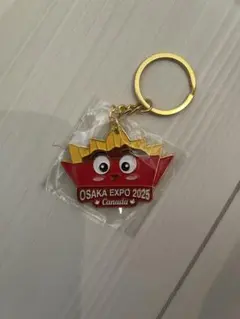 2025年最新】カナダパビリオンの人気アイテム - メルカリ