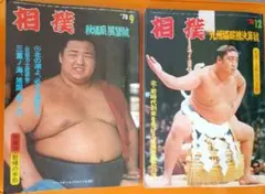 Item thumbnail for item 762e06b3-41d0-490c-a153-e44328f67f4b