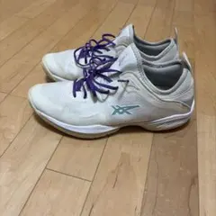 バスケットボールシューズ ホワイト メッシュ