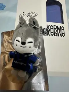 straykids karma アイドル