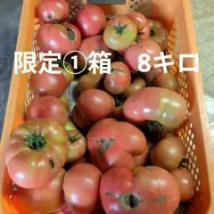 2026年最新】トマト 訳ありの人気アイテム - メルカリ