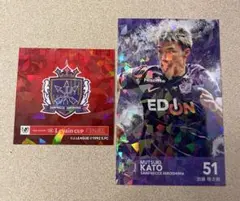 2025 ルヴァンカップ決勝 サンフレッチェ広島 加藤陸次樹 配布カード