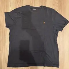 【値下げ‼️】Abercrombie&Fitch アバクロ　メンズTシャツ　2Lのサムネイル