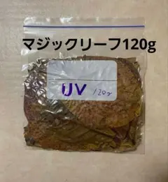 沖縄県やんばる産マジックリーフ 120g 43〜50枚入 UV殺菌灯照射済み⑤