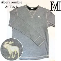 Abercrombie&Fitch ワンポイント刺繍　トレーナー