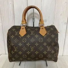 LOUIS VUITTON ルイヴィトン ハンドバッグ スピーディ25 ブラウン