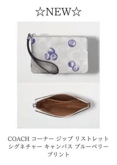 COACH コーナー ジップ リストレット シグネチャー ブルーベリー プリント