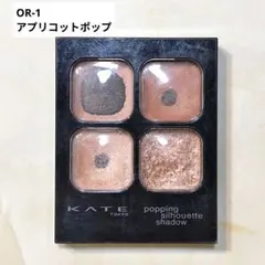 KATE ポッピングシルエットシャドウ OR-1 アプリコットポップ イエベ春秋のサムネイル