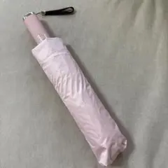 Item thumbnail for item d750bfd5-a71a-442a-a166-edbe0e1c629f