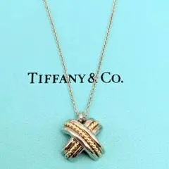 ​【希少】ティファニー シグネチャー クロス コンビ ネックレス 925×750
