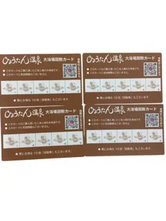 豊田挙母温泉 おいでんの湯 回数券10回分 - メルカリ