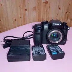 【中古美品】LUMIX GH4 / 1331ショット / バッテリー2個