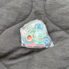 サンリオキャラクターズ パッケージチャーム ハンギョドン