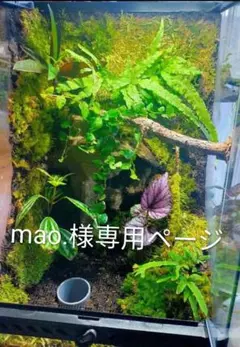 mao.様専用ページ