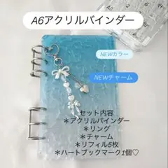 アクリルバインダー♡水流模様A6韓国バインダー貯金savingリボンsilver