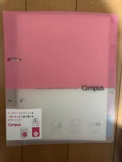 Item thumbnail for item a755dc1c-165a-4b41-be60-d117ef968b81