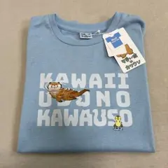 レディース Tシャツ 可愛い嘘のカワウソ カワウソ