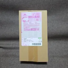 【新品未開封】スペシャルBOX ポケモンセンターヒロシマ