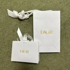 Dior ギフト袋セット 大小