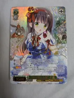 ssp ヴァイスシュヴァルツ