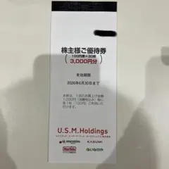 ユナイテッドスーパーマーケット　株主優待券　3000円分のサムネイル