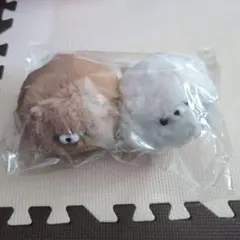 け*い様 もちもふ！ポメラニアン ちゃちゃまる け*い様 もちもふ！ポメラニアン ちゃちゃまる - メルカリ